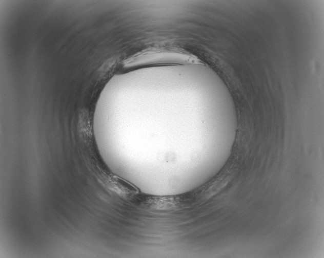 X0000056030384200509092211