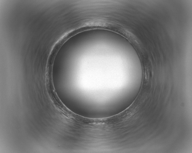 X0000056030388200509092211