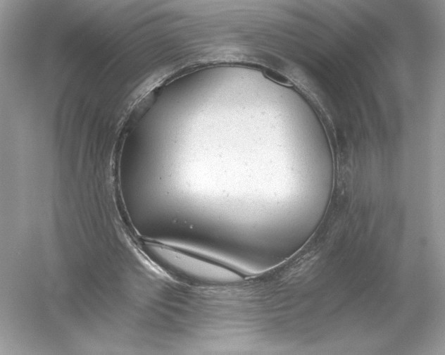 X0000056030389200509092211