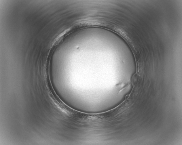 X0000056030390200509092211