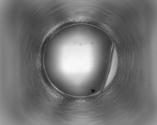 X0000056030392200509092210