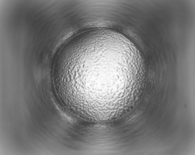 X0000056030394200509092210