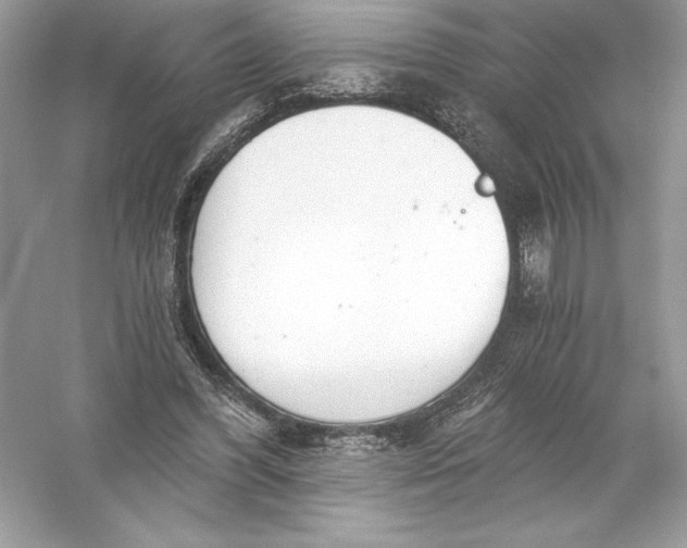 X0000056030396200509092210