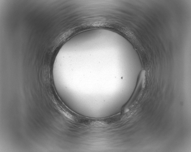 X0000056030397200509092210