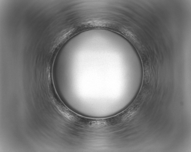 X0000056030398200509092210