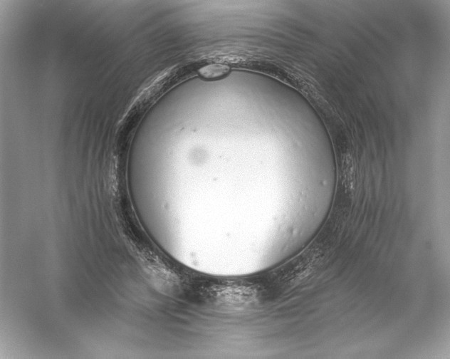 X0000056030400200509092210