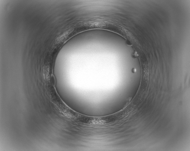 X0000056030403200509092210