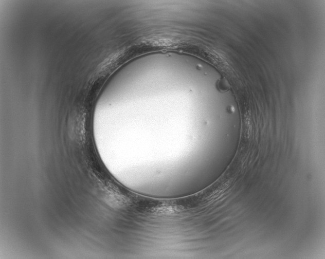 X0000056030404200509092210