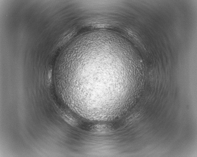 X0000056030406200509092210