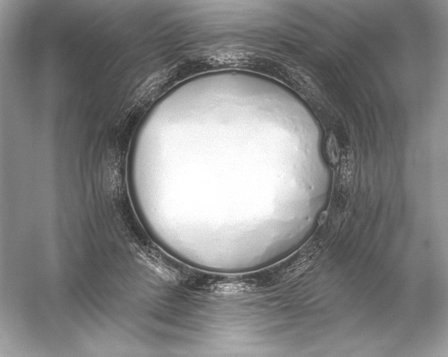 X0000056030408200509092210