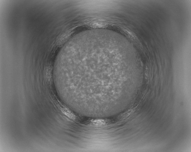 X0000056030409200509092210