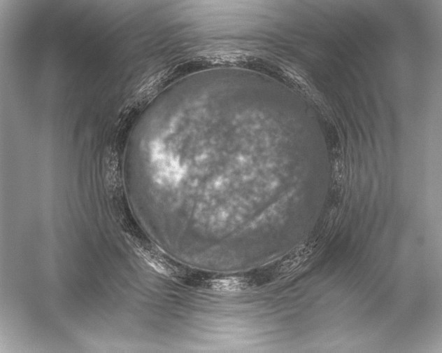 X0000056030411200509092210