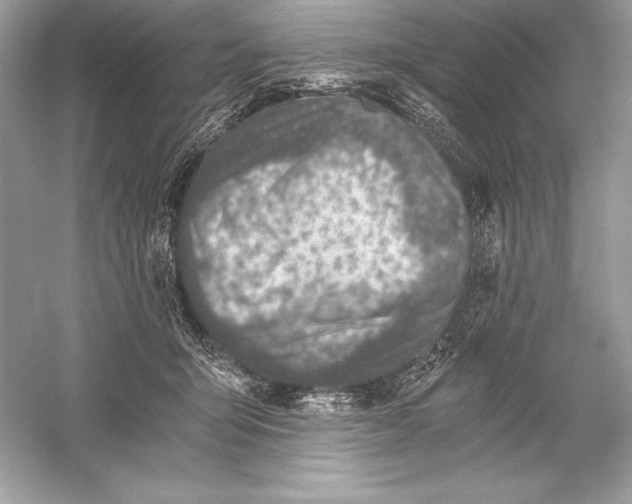 X0000056030415200509092210