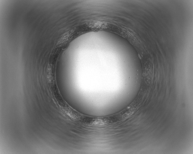 X0000056030416200509092210