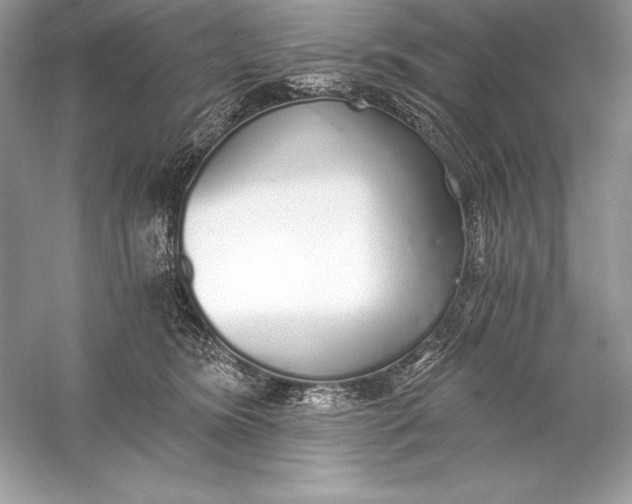 X0000056030420200509092210