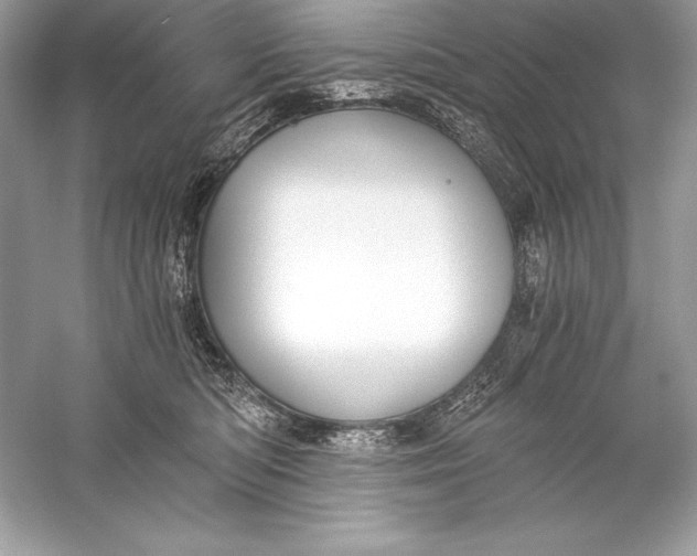 X0000056030422200509092210