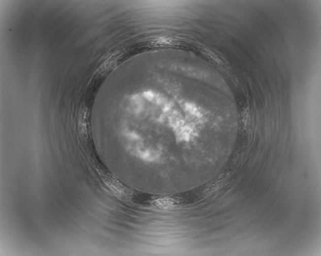 X0000056030423200509092210