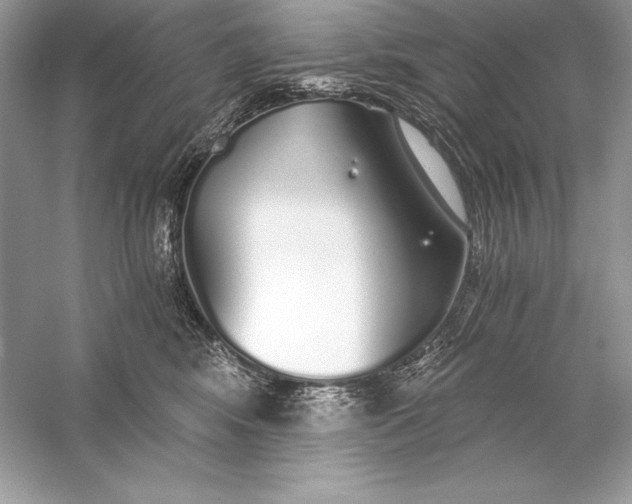 X0000056030424200509092210