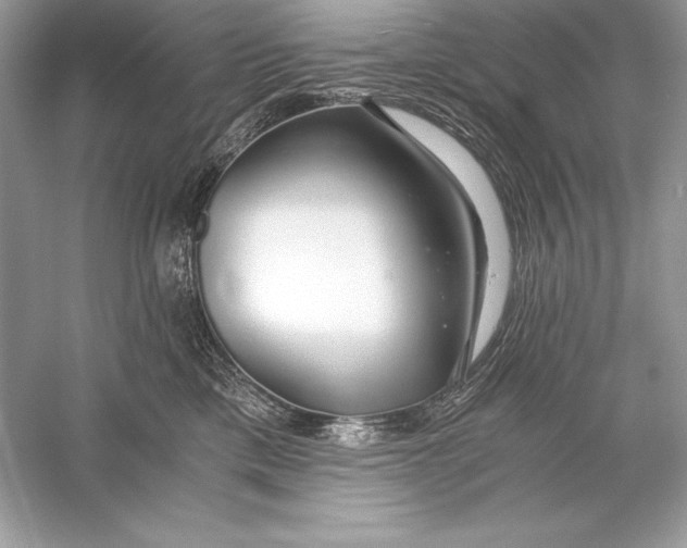 X0000056030425200509092210