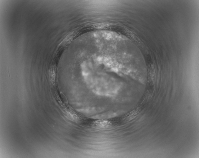 X0000056030427200509092210