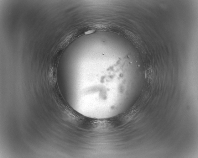 X0000056030428200509092210