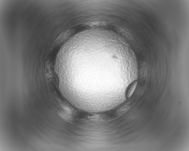 X0000056030430200509092210