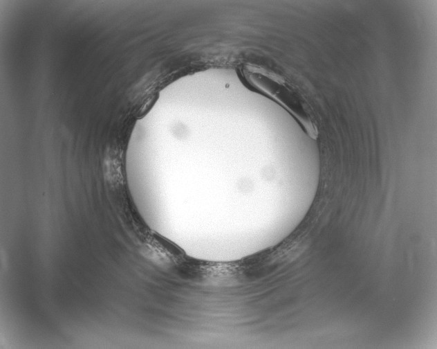 X0000056030432200509092210