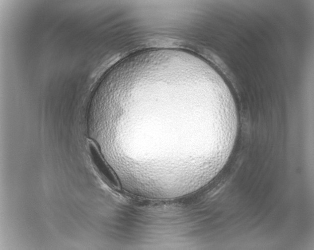 X0000056030433200509092209