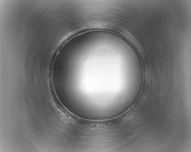 X0000056030434200509092209