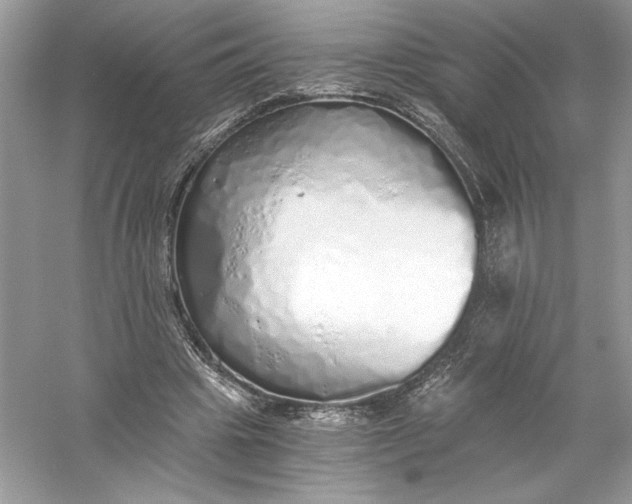 X0000056030441200509092209