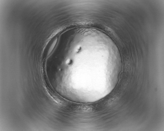 X0000056030443200509092209