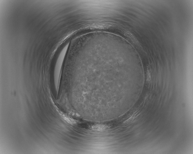 X0000056030444200509092209