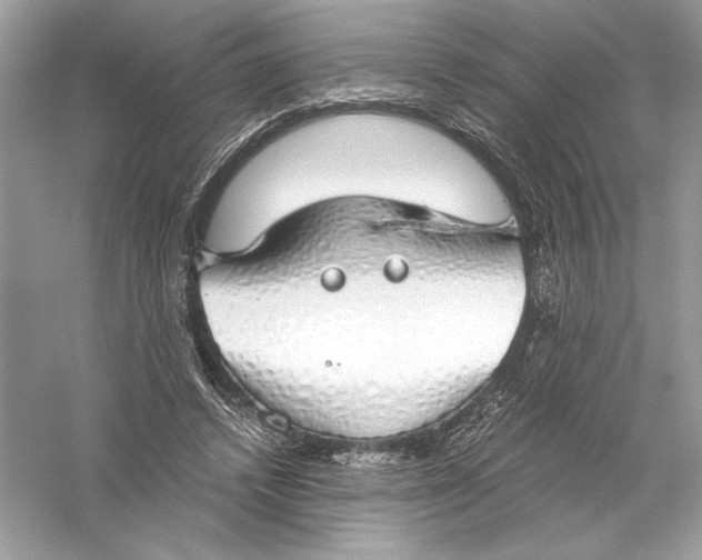 X0000056030448200509092209