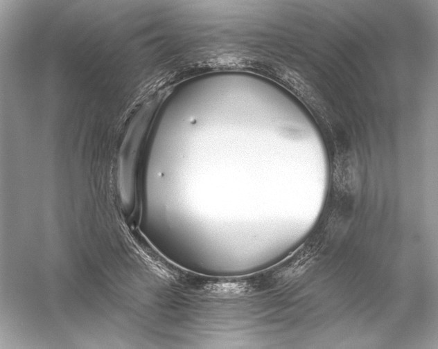 X0000056030449200509092209