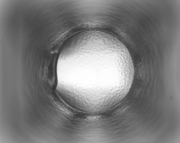 X0000056030450200509092209