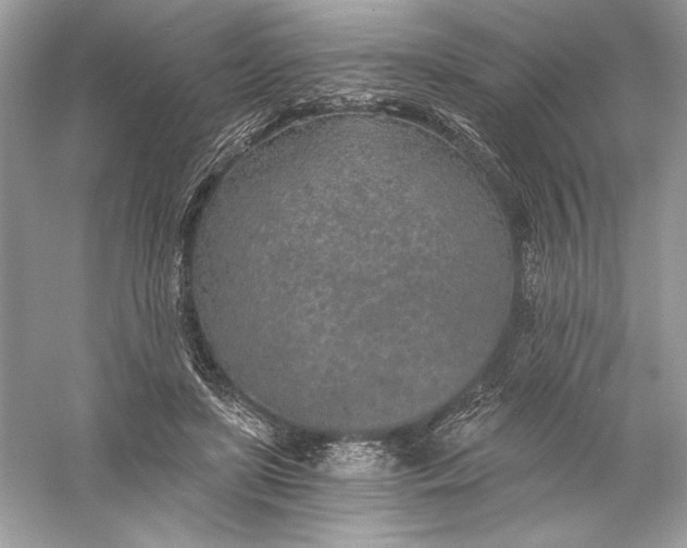 X0000056030451200509092209