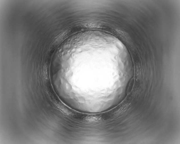 X0000056030453200509092209