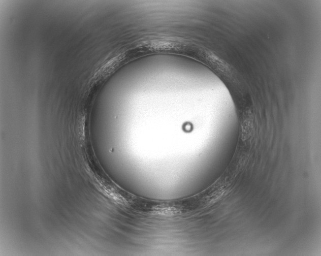 X0000056030454200509092209