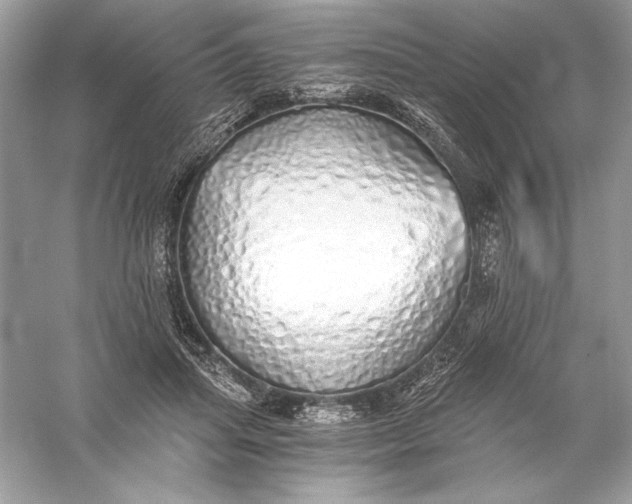 X0000056030455200509092209