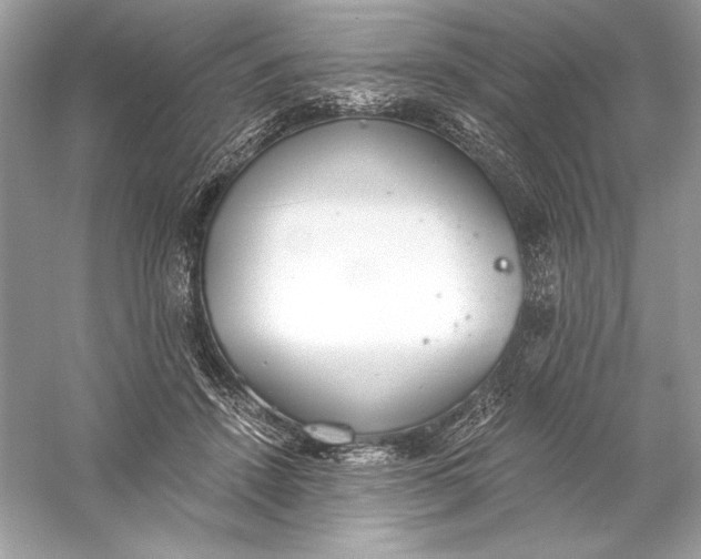 X0000056030456200509092209