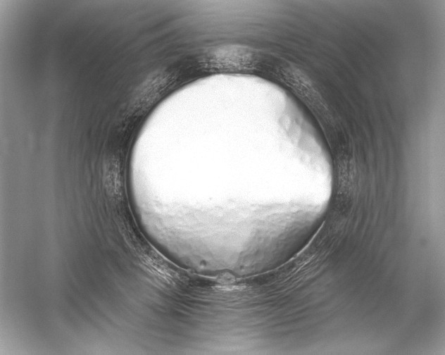 X0000056030457200509092209