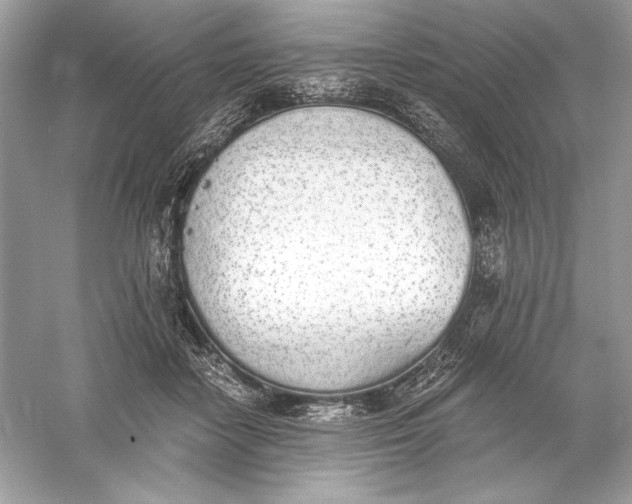 X0000056030458200509092209