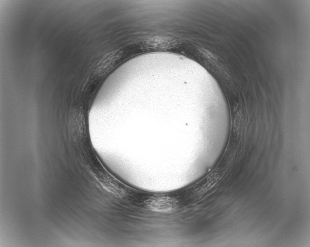 X0000056030459200509092209