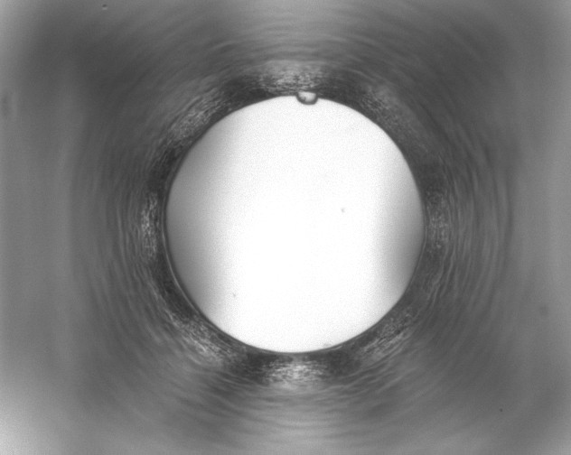 X0000056030460200509092209