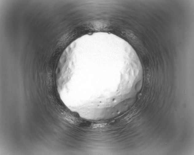 X0000056030461200509092209