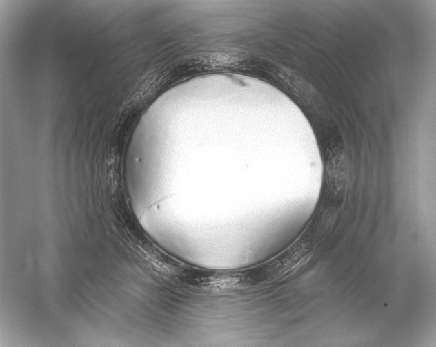 X0000056030462200509092209