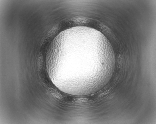 X0000056030463200509092210