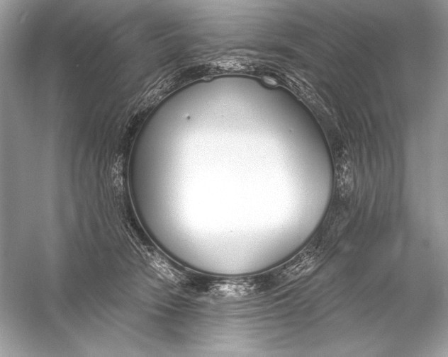 X0000056030466200509092210