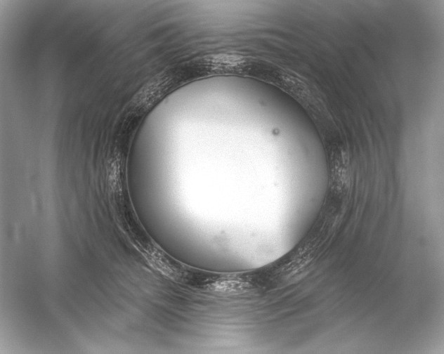 X0000056030468200509092210