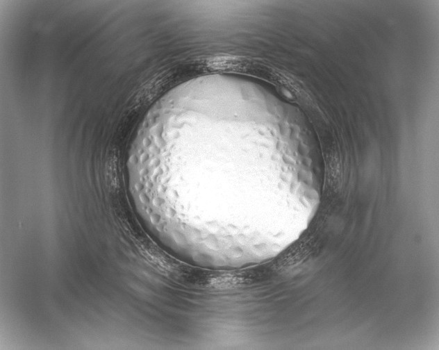 X0000056030470200509092210